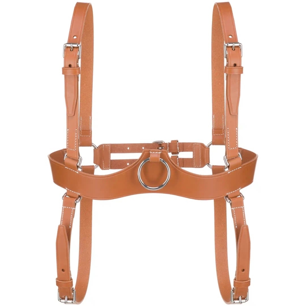 Gucci Tan Leather Harness ( Never Worn)